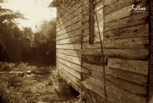 the-house-that-haunts-the-pages-of-sketcher