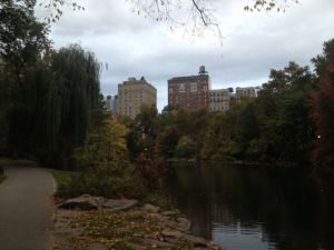 CentralPark03