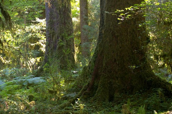 If A Gay Man Screams In The Caribbean, And A White Man Isn’t There To Hear Him, Has He Still Made A&nbsp;Sound?